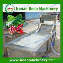 800-1000kg/h capacityozon vegetable washer for sale